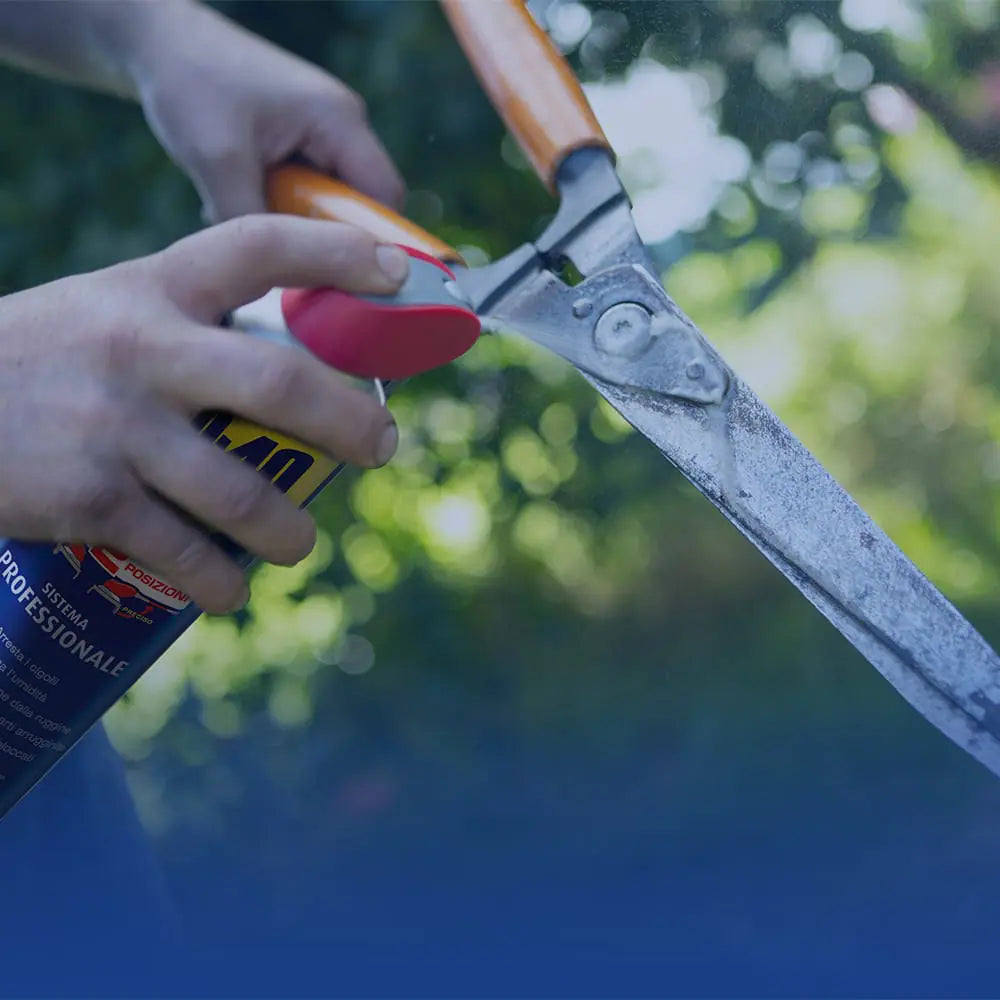 WD-40 - Sbloccante multifunzione doppio erogatore