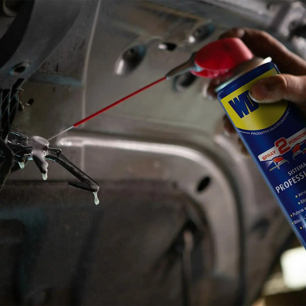 WD-40 - Sbloccante multifunzione doppio erogatore